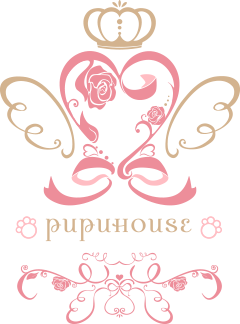 お知らせ | プードル・ビションフリーゼの専門ブリーダー「PUPUHOUSE」